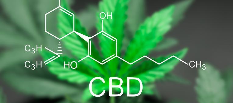 cbd oil