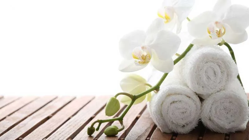 spa franchise opportunities in Florida